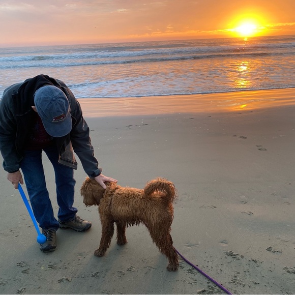 Meet your Posher, Lanee. 🌞

🐶🐾Sorry but My pup is NOT available 🤣She’s our kid - Picture 17 of 17